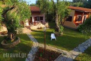 Anneta Studios_accommodation_in_Hotel_Ionian Islands_Lefkada_Sivota