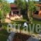 Anneta Studios_accommodation_in_Hotel_Ionian Islands_Lefkada_Sivota