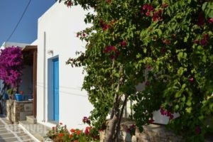 Kostas Teacher Apartment_travel_packages_in_Cyclades Islands_Antiparos_Antiparos Chora