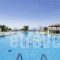 Plaza Beach Hotel_travel_packages_in_Cyclades Islands_Naxos_Naxos chora