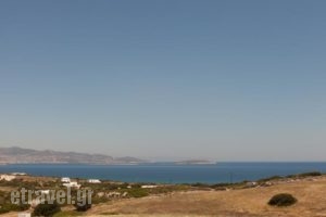 Ergina Summer Resort_best prices_in_Hotel_Cyclades Islands_Antiparos_Antiparos Chora