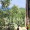 Xenios Zeus Apartments_best deals_Apartment_Crete_Chania_Kissamos