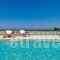 Greatland Villas_best prices_in_Villa_Dodekanessos Islands_Rhodes_Gennadi