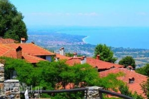 Enastron Guesthouse_lowest prices_in_Hotel_Macedonia_Pieria_Paleos Panteleimonas