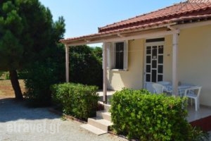 Beach Bungalows_holidays_in_Hotel_Ionian Islands_Zakinthos_Alykes