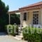 Beach Bungalows_holidays_in_Hotel_Ionian Islands_Zakinthos_Alykes