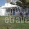 Chryssalis Garden Apartments_best deals_Apartment_Cyclades Islands_Naxos_Naxos chora