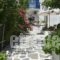 Alpha Studios_holidays_in_Hotel_Cyclades Islands_Paros_Piso Livadi