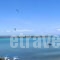 Christaras Apartments_holidays_in_Apartment_Macedonia_Halkidiki_Vourvourou