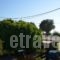 Andreas Studios_best deals_Hotel_Dodekanessos Islands_Kos_Kos Rest Areas