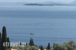 Zeus Apartments in Naxos Chora, Naxos, Cyclades Islands