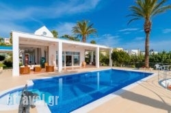 Grande Dame Villa in Archanes, Heraklion, Crete