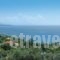 Selini Villa_lowest prices_in_Villa_Ionian Islands_Corfu_Corfu Rest Areas