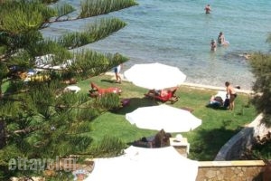 Stefania Apartments_best deals_Apartment_Ionian Islands_Zakinthos_Alykes