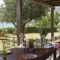 Aquavisionaire_best deals_Hotel_Dodekanessos Islands_Rhodes_Lindos