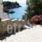 Ostria_best prices_in_Hotel_Sporades Islands_Alonnisos_Patitiri