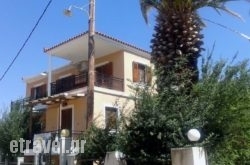 Fenareti Apartments in Palaekastro, Lasithi, Crete