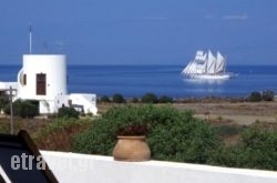 Ecoxenia in Naxos Chora, Naxos, Cyclades Islands