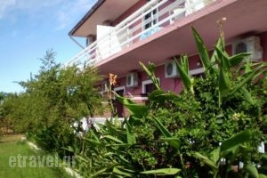 Eleni Studios & Apartments_best prices_in_Apartment_Ionian Islands_Zakinthos_Katastari