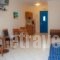 Blue Waves Studios_best deals_Hotel_Dodekanessos Islands_Karpathos_Karpathosora