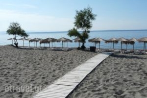 Ktima Petalea_best deals_Hotel_Peloponesse_Lakonia_Gythio