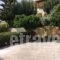 Despoina Apartments_best deals_Apartment_Crete_Heraklion_Viannos