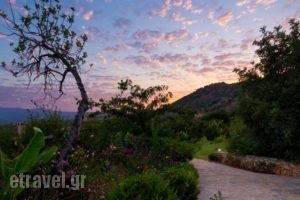 Melidoni X Village_best deals_Hotel_Crete_Rethymnon_Rethymnon City