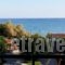 Anetis Hotel_best prices_in_Hotel_Ionian Islands_Zakinthos_Zakinthos Rest Areas