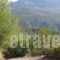 Menina Farm_best deals_Hotel_Thessaly_Magnesia_Pilio Area