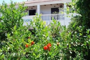 Studio Stars_accommodation_in_Hotel_Ionian Islands_Zakinthos_Laganas