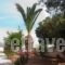 Villa Xenia_lowest prices_in_Villa_Crete_Lasithi_Ierapetra