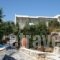 Villa Zografos_accommodation_in_Villa_Cyclades Islands_Iraklia_Iraklia Chora