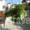 Pension Margarita_holidays_in_Hotel_Sporades Islands_Skiathos_Skiathoshora