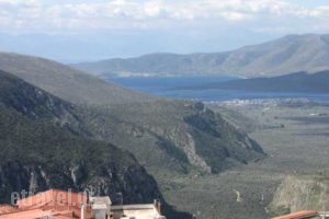 Castri Hotel_best prices_in_Hotel_Central Greece_Fokida_Delfi