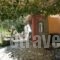 Dimarion Villas_best deals_Villa_Ionian Islands_Lefkada_Lefkada Rest Areas