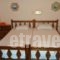 Dallas Hotel_best deals_Hotel_Peloponesse_Arcadia_Paralio of Astros