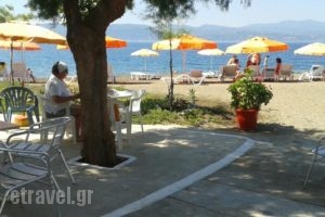 Pension Akrogiali_holidays_in_Hotel_Central Greece_Evia_Amaranthos