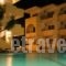 Artemis Studios_travel_packages_in_Dodekanessos Islands_Rhodes_Kalythies