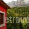 Agathi_holidays_in_Hotel_Epirus_Arta_Arta City