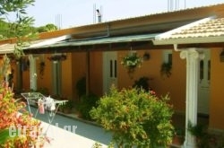 Olive Grove Studios in  Agia Marina , Aigina, Piraeus Islands - Trizonia