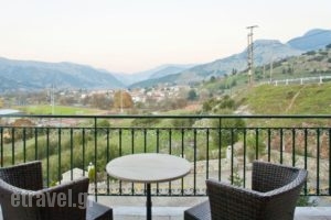 Hotel All Seasons_best deals_Hotel_Peloponesse_Achaia_Kalavryta