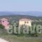 Holiday Home Vontas Houses 04_accommodation_in_Hotel_Peloponesse_Argolida_Kranidi