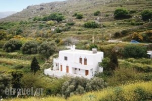 Holiday Home Andros Island C. With A Fireplace 03_accommodation_in_Hotel_Cyclades Islands_Andros_Andros City