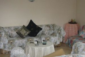 Holiday Home Andros Island C. With A Fireplace 03_best prices_in_Hotel_Cyclades Islands_Andros_Andros City