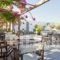 Stefano Apartments_best deals_Apartment_Cyclades Islands_Paros_Piso Livadi