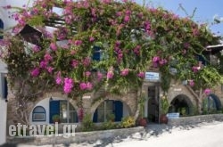 Stefano Apartments in Livadia, Tilos, Dodekanessos Islands