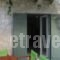 Wild Sea Apartments_best deals_Apartment_Ionian Islands_Lefkada_Lefkada Chora