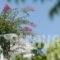 Casa Bianca_best deals_Hotel_Cyclades Islands_Sandorini_Imerovigli