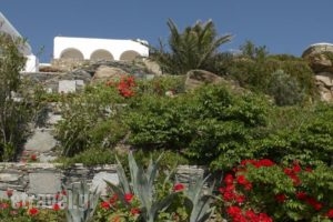 Mykonos View Hotel_travel_packages_in_Cyclades Islands_Mykonos_Mykonos Chora