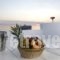 Mykonos View_accommodation_in_Apartment_Cyclades Islands_Mykonos_Mykonos Chora